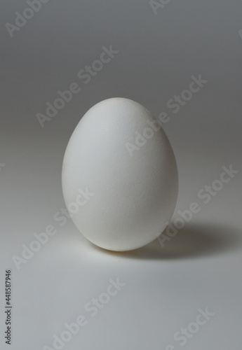 Isolated fresh white egg standing on a grey background. Natural ecological product