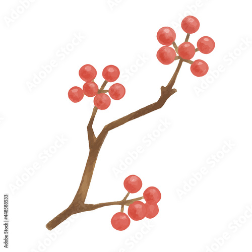 色鉛筆手描き　秋の木の実　サルトリイバラのイラスト　挿絵