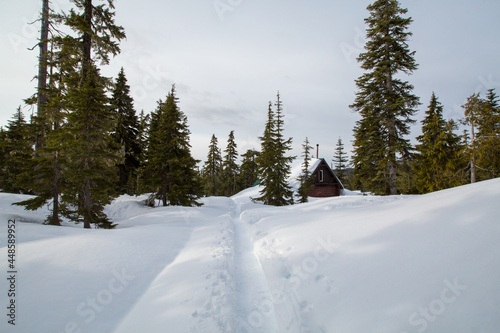 trail to the cabin wide