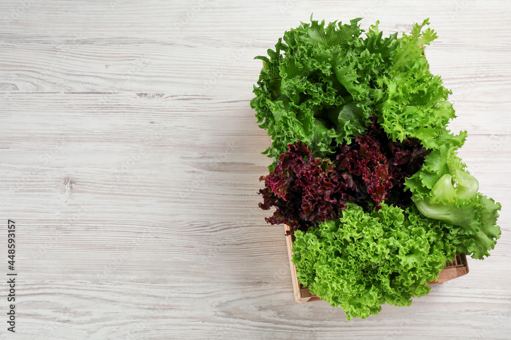 Crate with different sorts of lettuce on white wooden table, top view. Space for text Crate with different sorts of lettuce on white wooden table, top view. Space for text