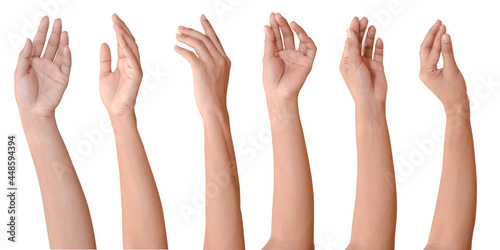 GROUP of female asian hand gestures isolated over the white background.