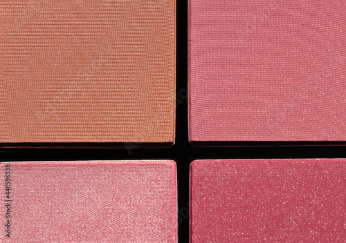Palette of face blush make up in for shades