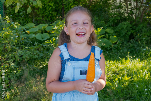 Girl is eating fresh carrots in the garden. 