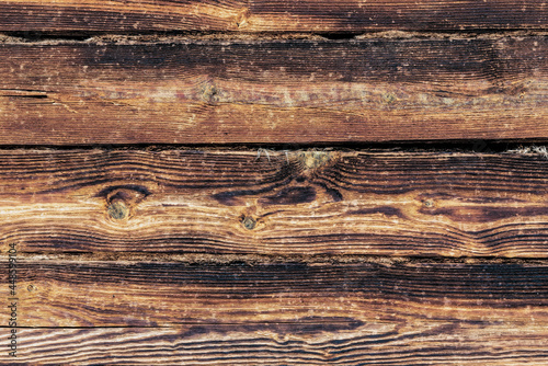 The texture of pine timber on a fragment of the wall of a wooden house.