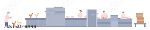 Factory line for producing chicken meat, flat vector illustration isolated.
