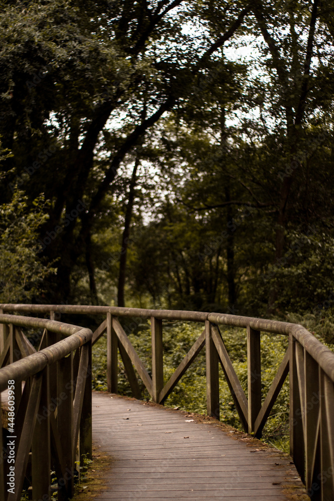 Puente de madera cruzando un bosque Puente de madera cruzando un bosque