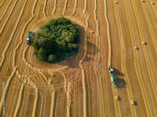 Hardworking in the field