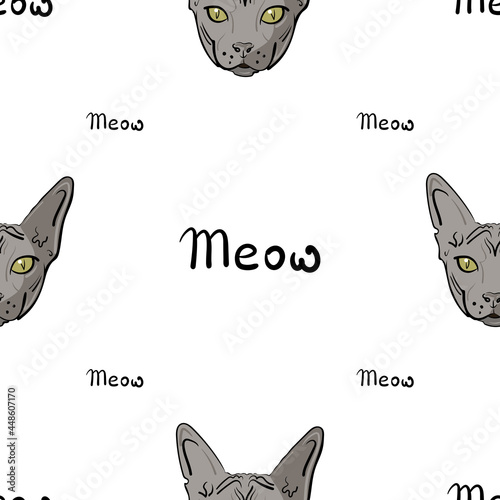 White seamless pattern with a gray Sphynx cat and the lettering Meow. Background pattern for wrapping paper, design for wallpaper, fabric, textile, for print, for packing paper, card design. Hand