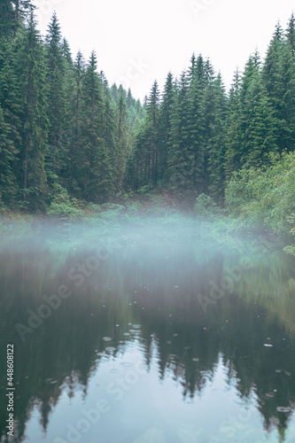 misty weather fog above lake in carpathian mountains