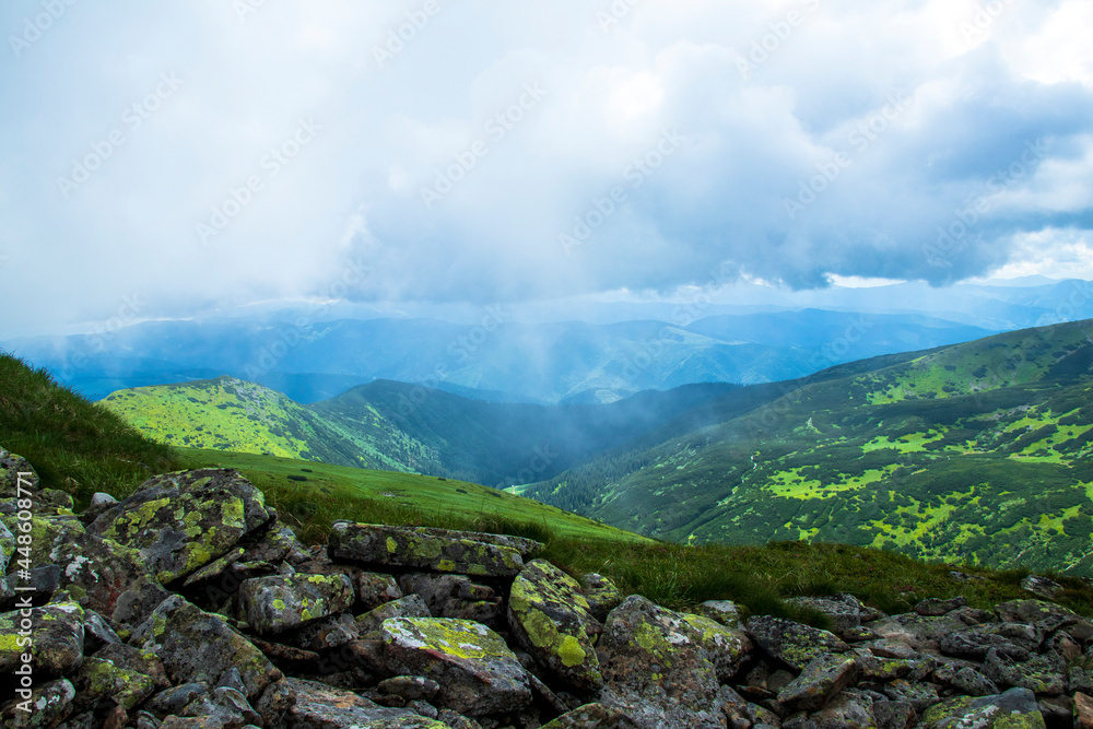 Fototapeta premium Mountain landscape. Green grass, blue mountains, flowers and needles. Montenegrin ridge in Ukraine in July. Hike in the Carpathian Mountains.