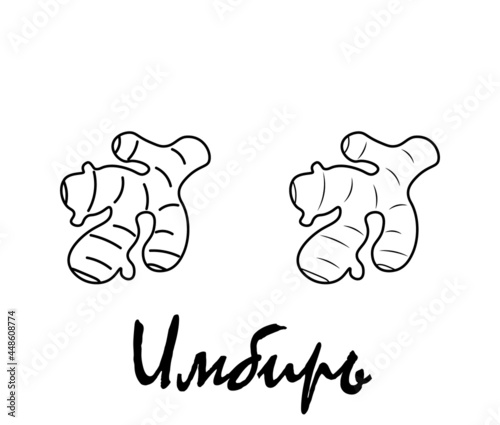 Badge ginger with the inscription "ginger" in Russian. Vector, eps
