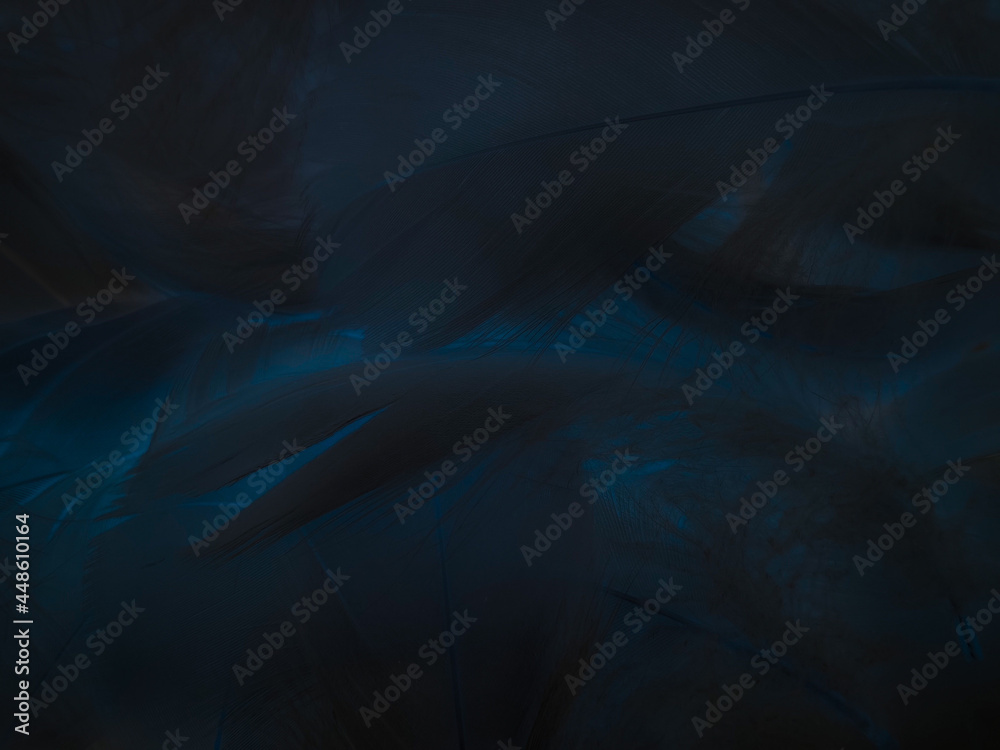 Beautiful abstract blue feathers on black background, black feather texture  and blue background, feather wallpaper, blue texture banners, love theme,  valentines day, light blue texture, dark gradient Stock Photo | Adobe Stock