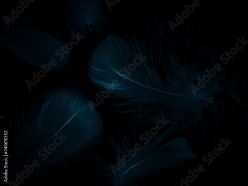 Beautiful abstract blue feathers on black background, black feather texture and blue background, feather wallpaper, blue texture banners, love theme, valentines day, light blue texture, dark gradient
