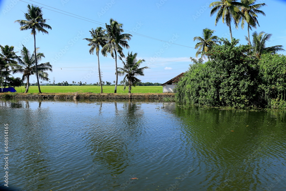 Kerala Backwater river, lakes lagoons