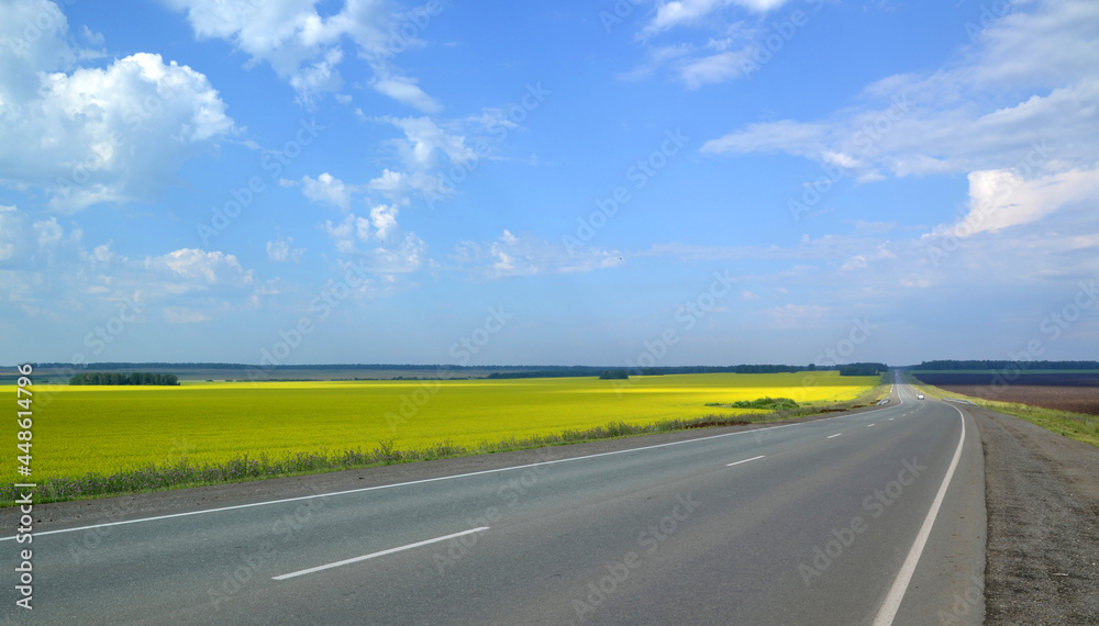 a road, a yellow field and a blue sky