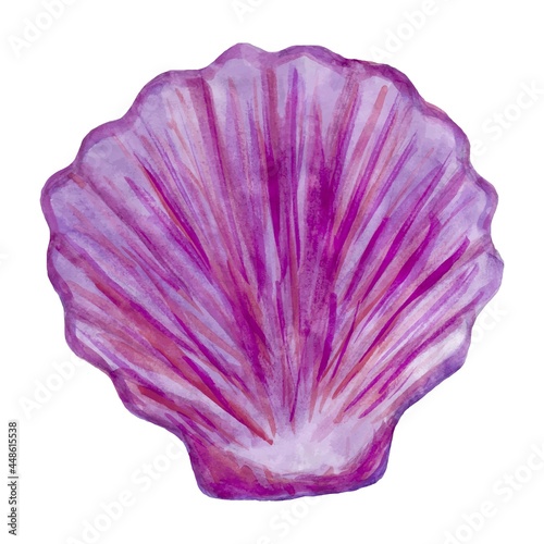 Bright vector clipart of a purple seashell stylized as a watercolor. Beautiful shell illustration isolated on white background