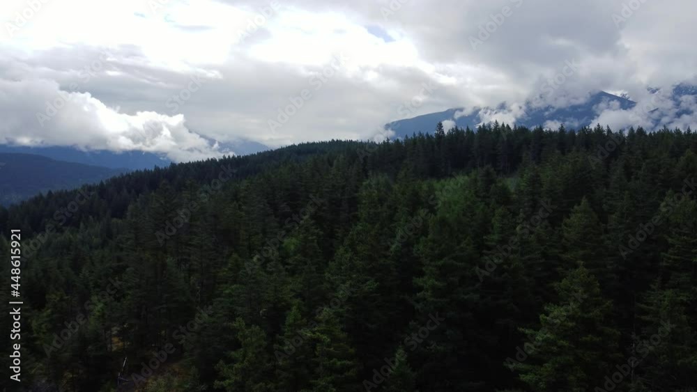 Fly over green forest with mountains in clouds behind it Fly over green forest with mountains in clouds behind it