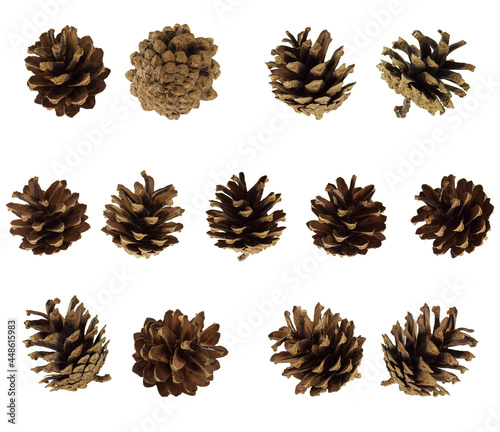 A set of pine cones isolated. Winter festive decor and natural decoration. decorative botanical elements for design, Christmas plants. New years cards.