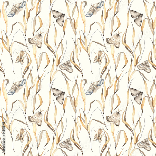 Fototapeta Floral seamless pattern with beautiful moths and dry golden grass, abstract watercolor print isolated on ivory background, vintage wallpaper or textile, wildlife illustration pastels brown colors
