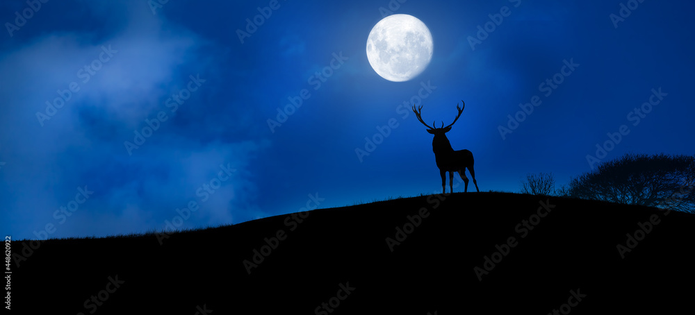 deer in the woods with full moon