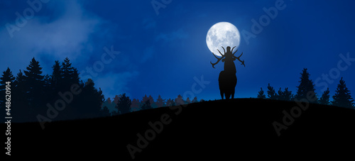 Fototapeta Naklejka Na Ścianę i Meble -  deer in the woods with full moon