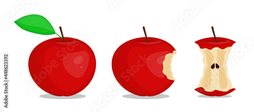 Red apple, whole, bitten and eaten. Flat vector illustration