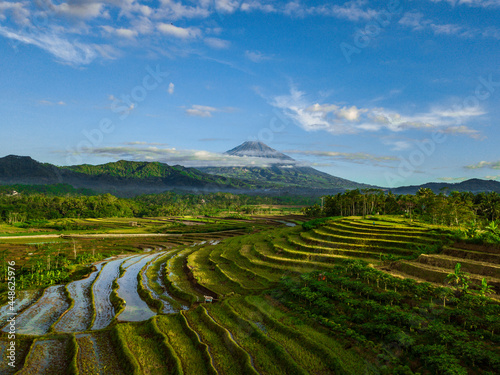 Drone photo of the Indonesian terraced rice fields with a mountain background. The condition of the rice fields after harvesting. The mountain in sight is Mount Sumbing with a little cloud covering.