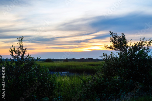 Sunset at the Coastal Priarie in Florida.  photo