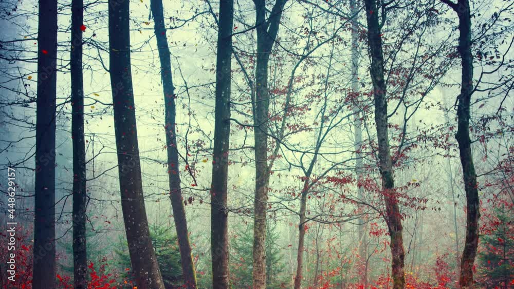 Magical Autumn season woods with falling leaves. Magical Autumn season woods with falling leaves.