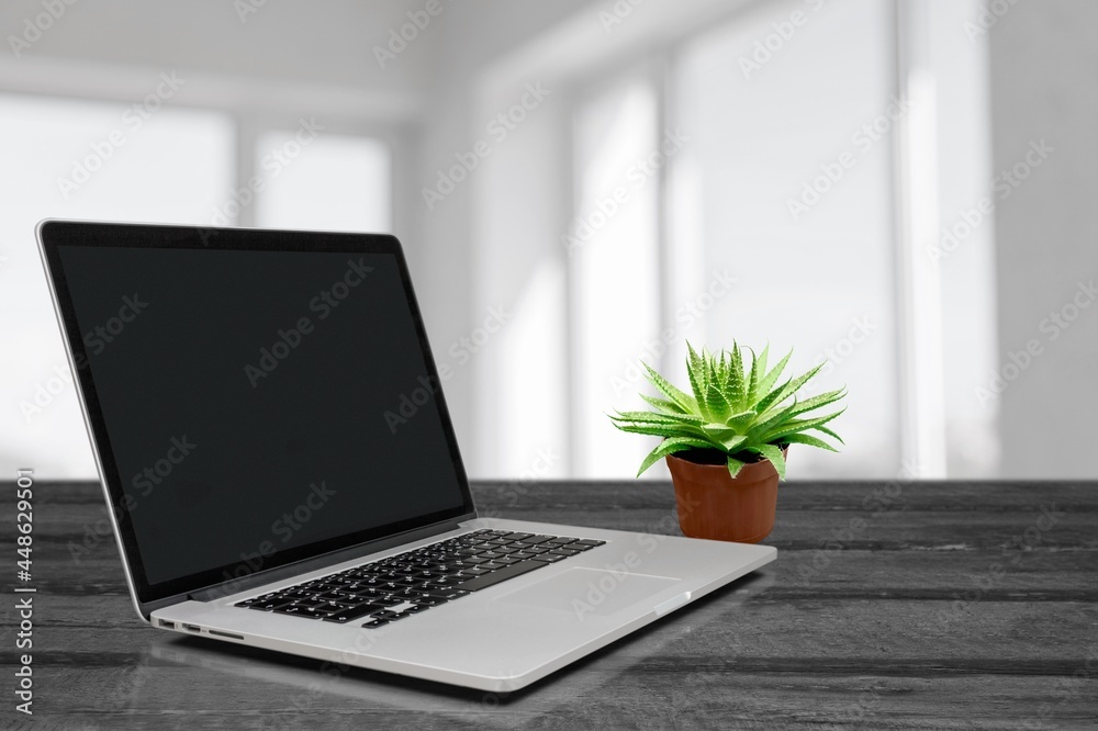 Fototapeta premium Laptop.