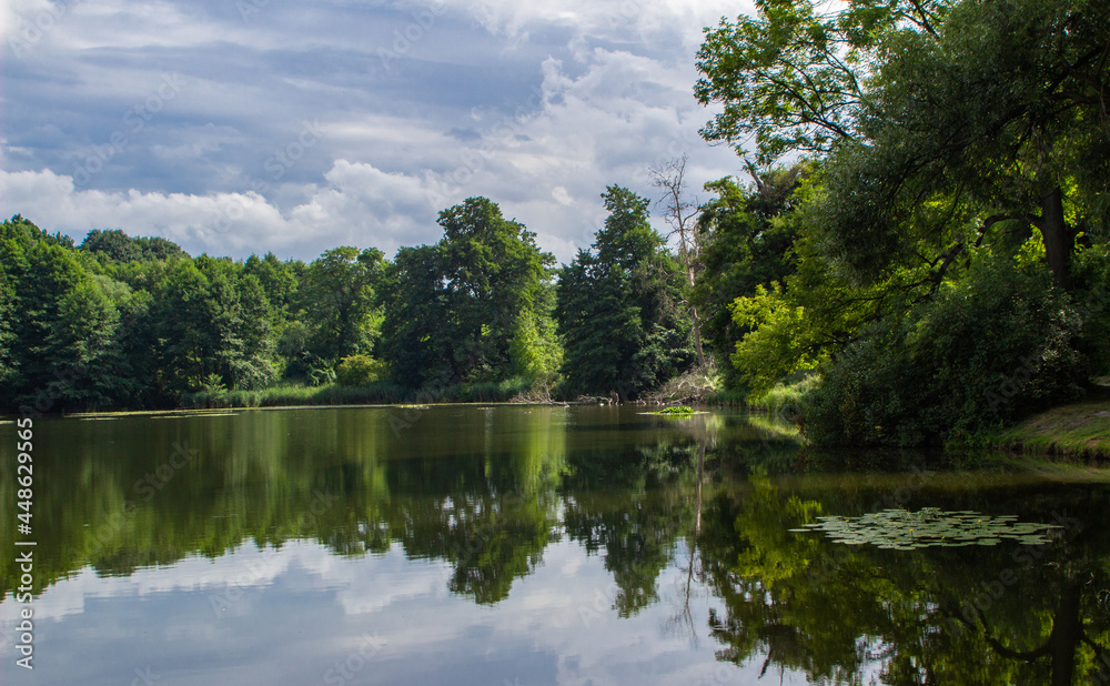 Fototapeta premium Staw Irydion w Złotym Potoku