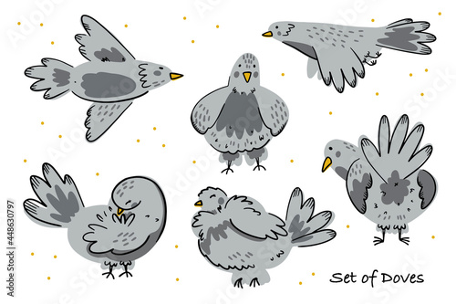 Vector illustration of cartoon flying pigeon animation sprite isolated on white background