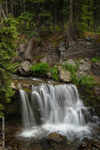 Fototapeta Naklejka Na Ścianę i Meble -  Forest Falls