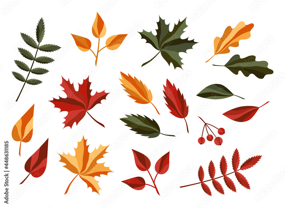 Set of colorful autumn leaves isolated on a white background. Forest nature leafage. Simple flat style.