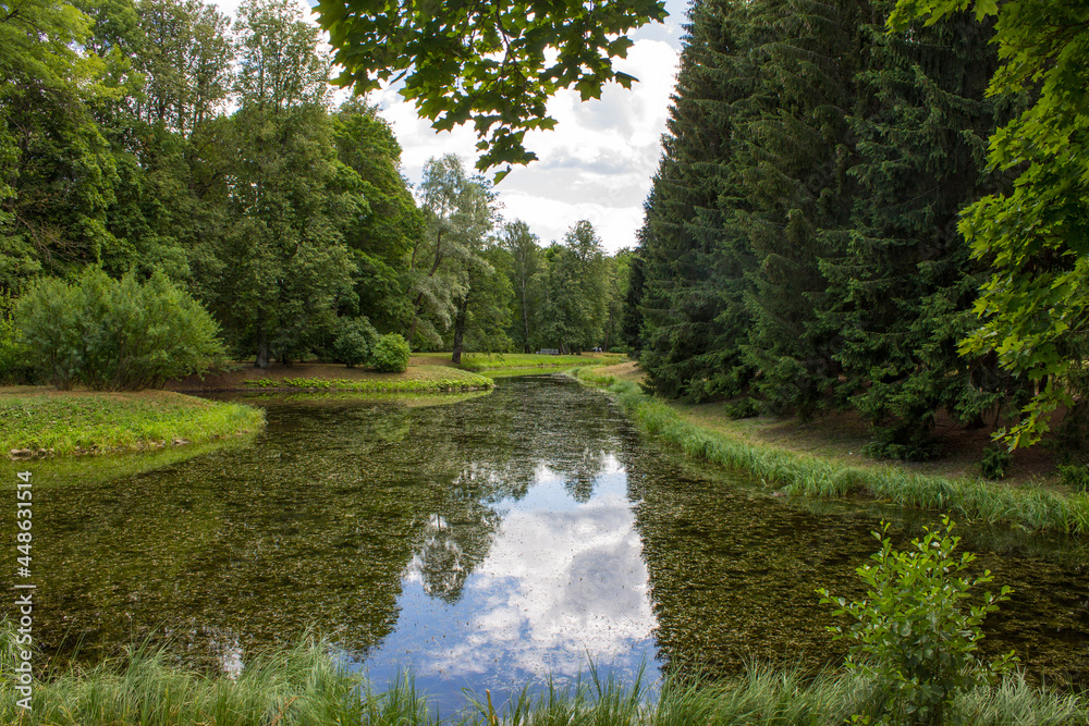 Beautiful summer landscape-green trees with lush foliage on the shore of a pond with a mirror image in the water in the Catherine Park in Tsarskoye Selo