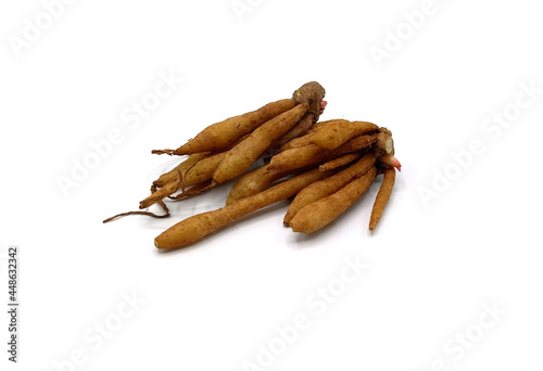 fresh Kaempferia is a medicinal plant on a white background.