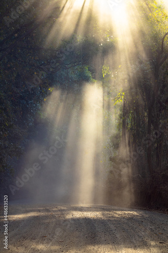 Rays of sunlight coming through the foliage on a dusty road in Australia