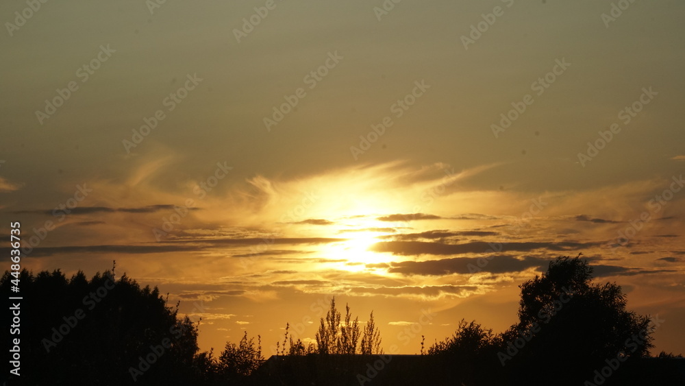 Fototapeta premium sunset over the field