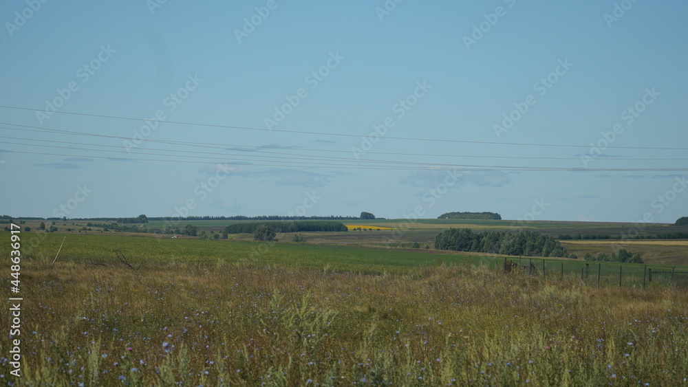 view of the fields