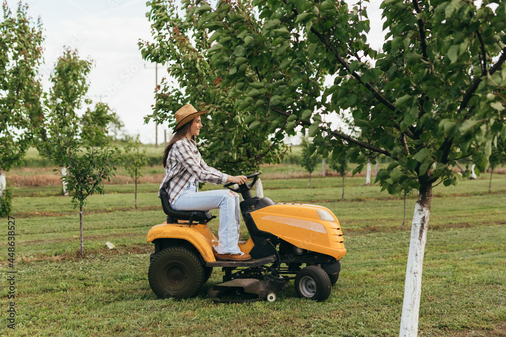 Fototapeta premium woman driving lawn mower in orchard