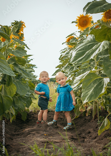 Children in a field of sunflowers. One-year-old boy and girl have fun in nature. A field with huge sunflowers. 
Summer outside the city on the farm. Grandchildren in the garden. Leisure and adventure