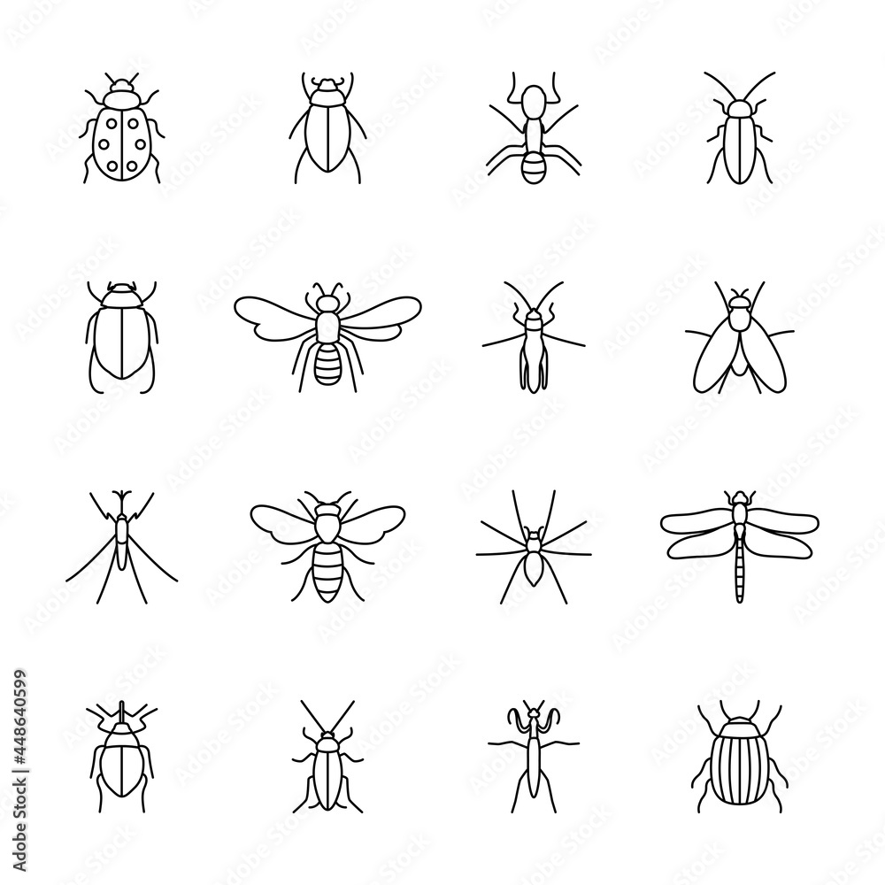 Set of icons of insects, vector illustration Set of icons of insects, vector illustration