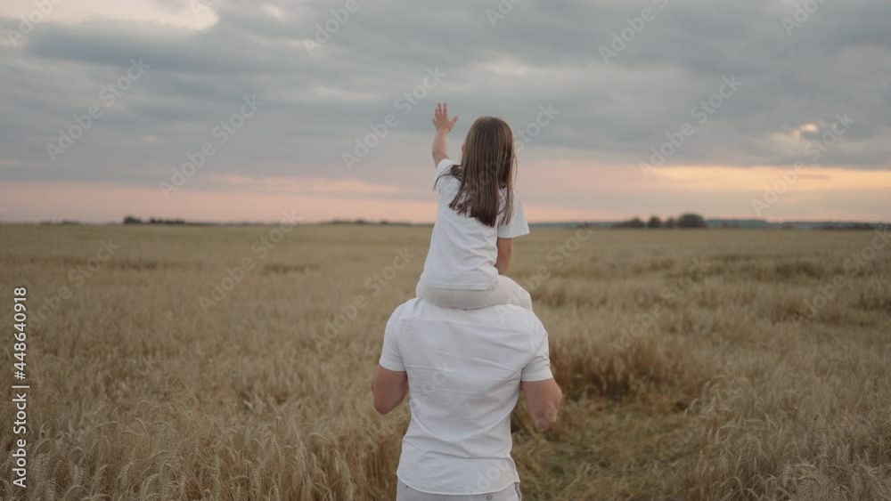 view from the back: Daddy carries on his shoulders his beloved little healthy daughter in sun. In slow motion, the daughter walks with her father on the field and free and happy waves her hands up. view from the back: Daddy carries on his shoulders his beloved little healthy daughter in sun. In slow motion, the daughter walks with her father on the field and free and happy waves her hands up.