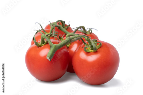 Realistic looking tomatoes isolated white background