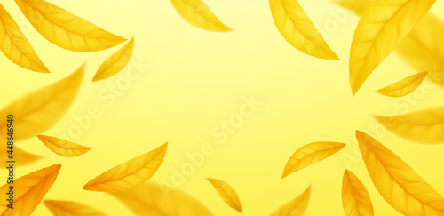 Falling flying autumn leaves background. Realistic autumn yellow leaf isolated on yellow background. Fall sale background. Vector illustration