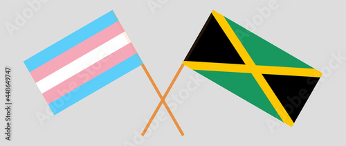 Crossed flags of transgender pride and Jamaica. Official colors. Correct proportion