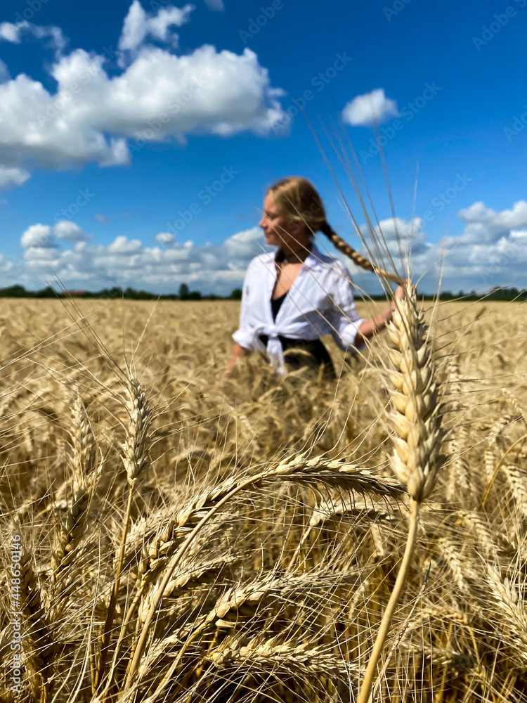 Girl in wheat field Girl in wheat field