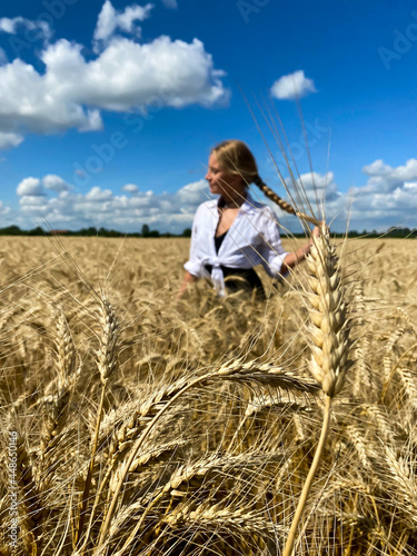 Girl in wheat field © Анастасия Епанешнико