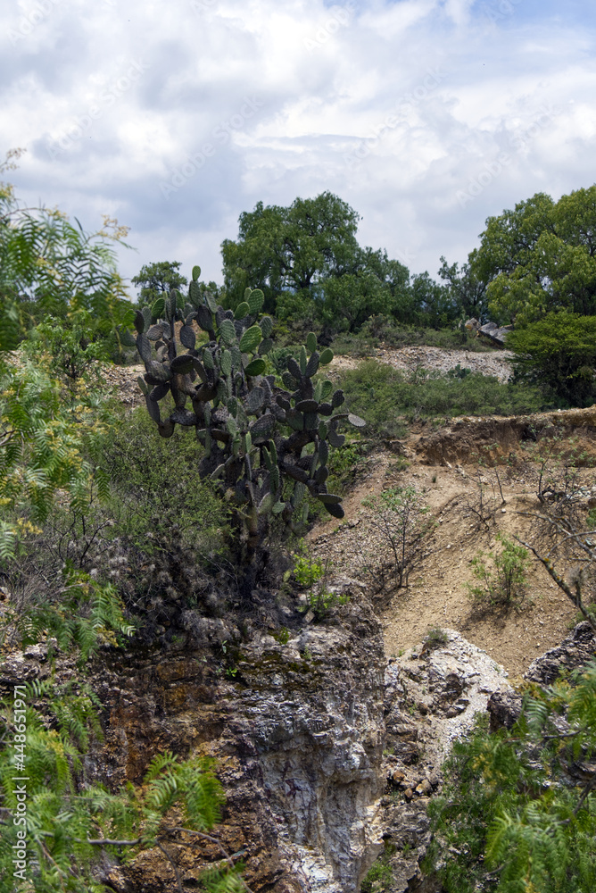 Santa Brigida, Mineral de Pozos, Mexico - Santa Brigida Mining Area