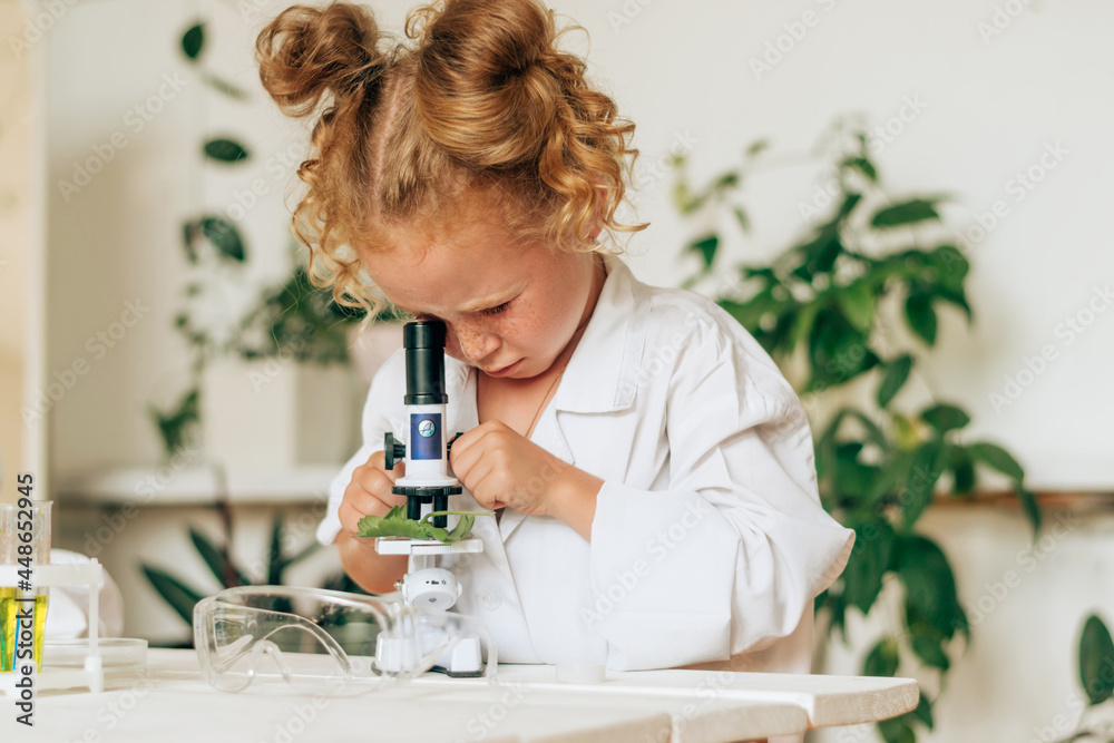 Little girl in white uniform and protective glasses looks into the microscope in a home laboratory.Back to school concept.Young scientists.Natural sciences.Preschool and school education of children. Little girl in white uniform and protective glasses looks into the microscope in a home laboratory.Back to school concept.Young scientists.Natural sciences.Preschool and school education of children.